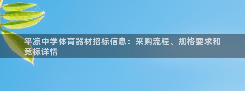 凯时官网：平凉中学体育器材招标信息：采购流程、规格要