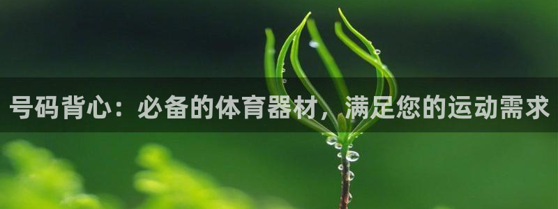 凯时官网手机版首页：号码背心：必备的体育器材，满足您