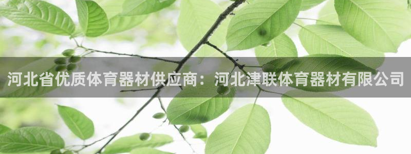 AG尊龙注册在线游戏：河北省优质体育器材供应商：河北