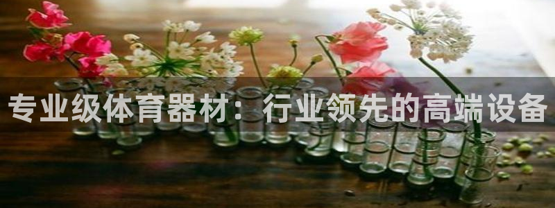 尊龙下载推荐网站：专业级体育器材：行业领先的高端设备